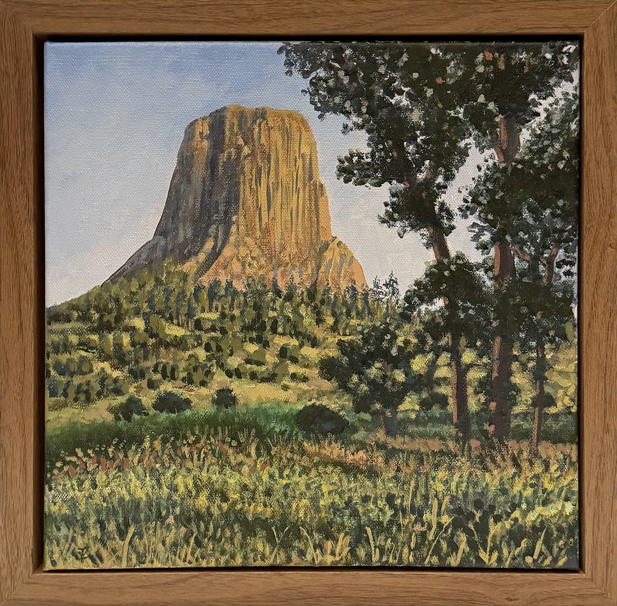 Devil's Tower