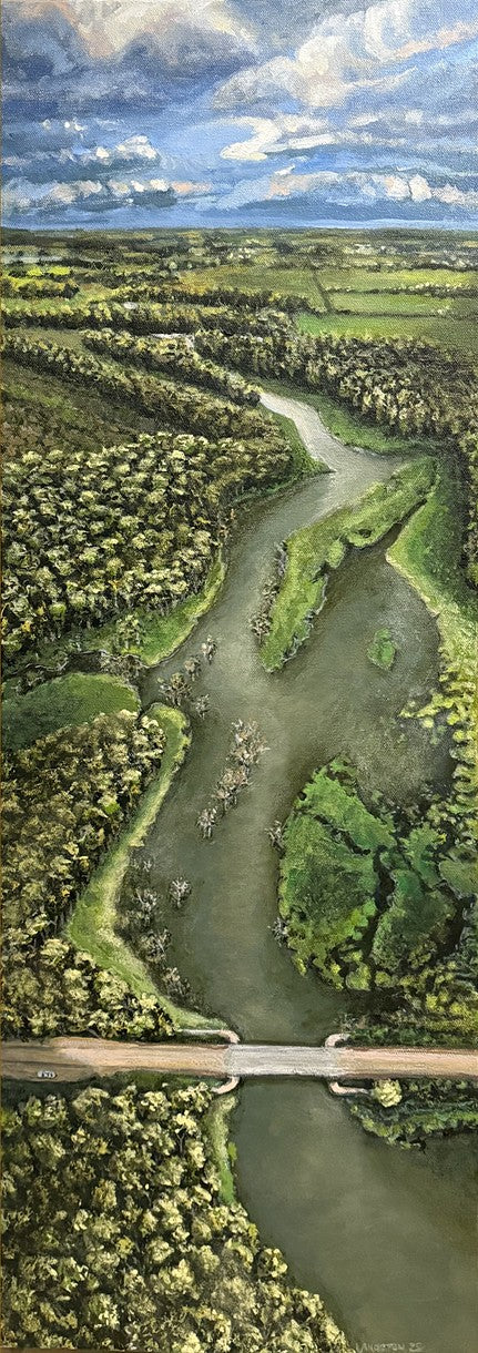 Above Shady Hollow