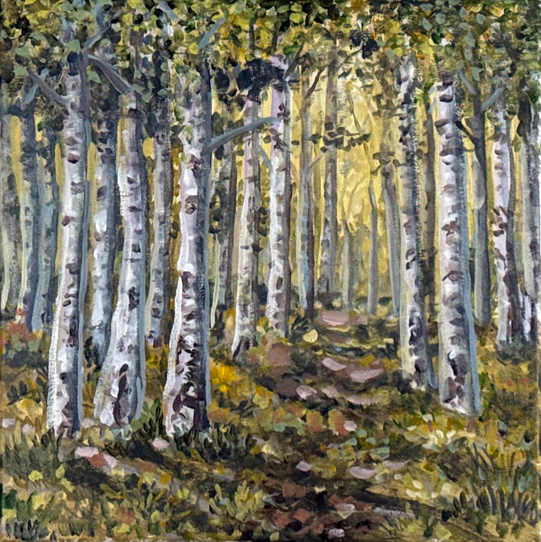Aspen Trail