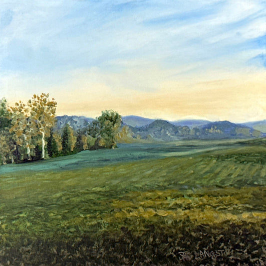 Sunny Field