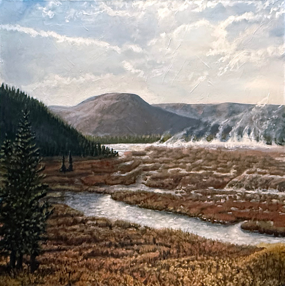 Geyser Field