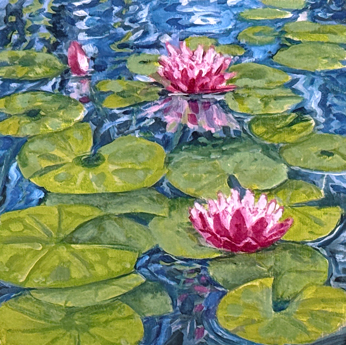 Lily Pond