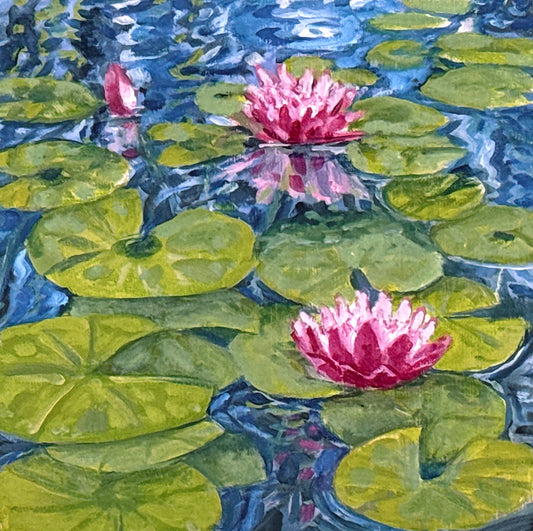 Lily Pond