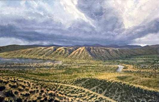 Manilla Wetlands