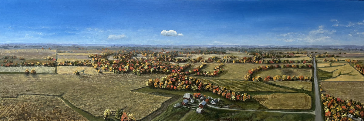 Above Fall Fields