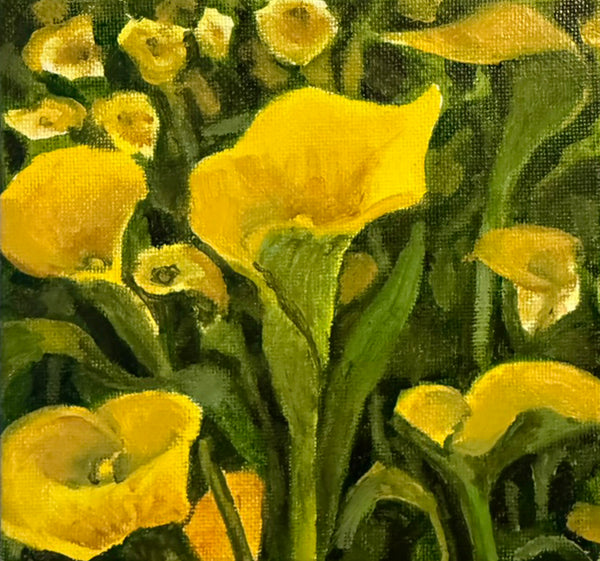 Yellow Calla Lilies