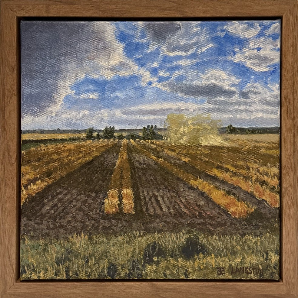 Dust Devil in the Fields