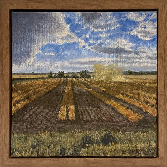 Dust Devil in the Fields
